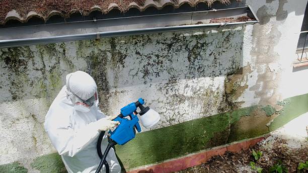 Trusted Bathroom Mold Removal service in Hatfield, PA - Cheap Mold Removal